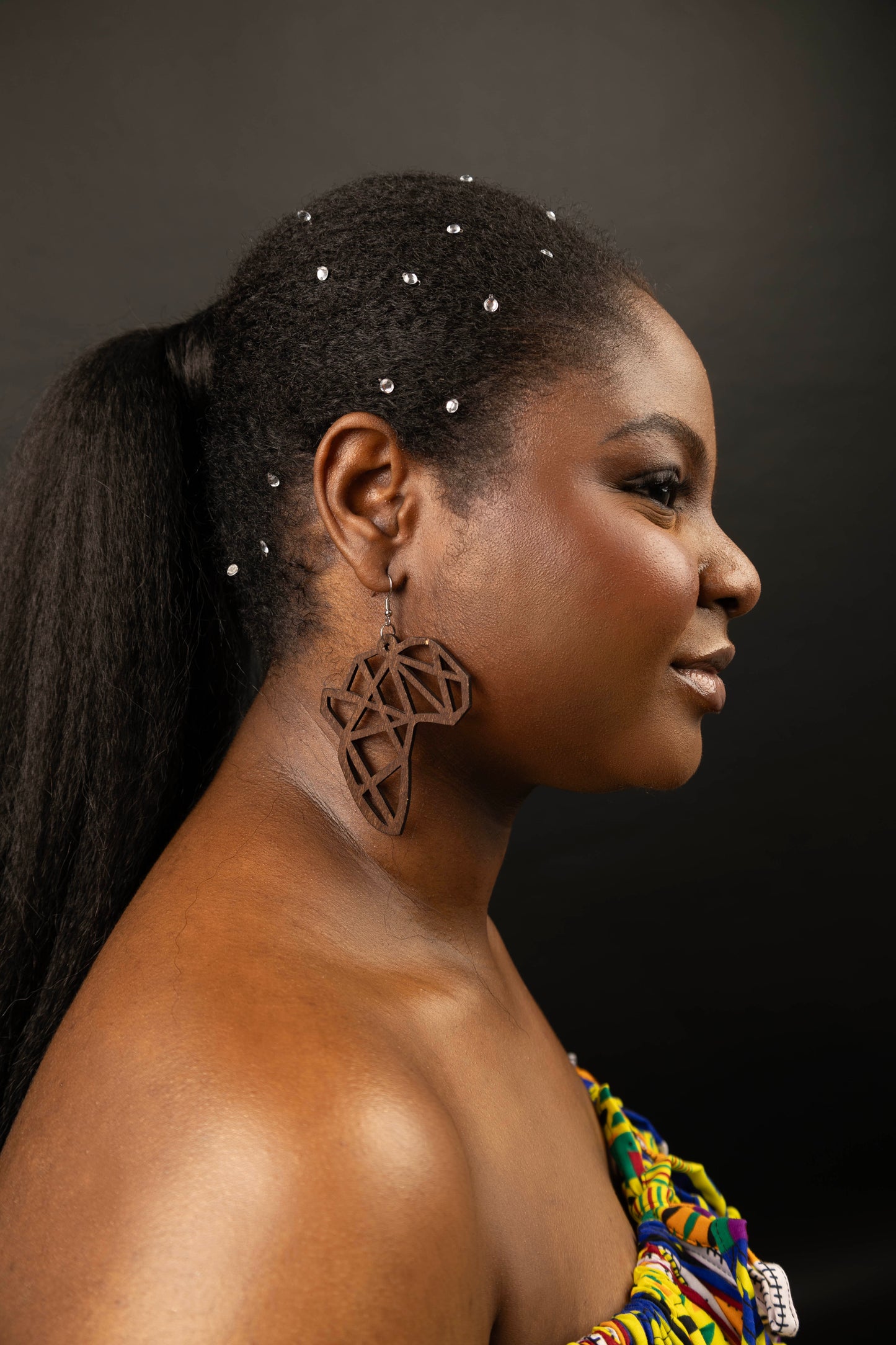 Brown Laser Cut Africa Map Earrings